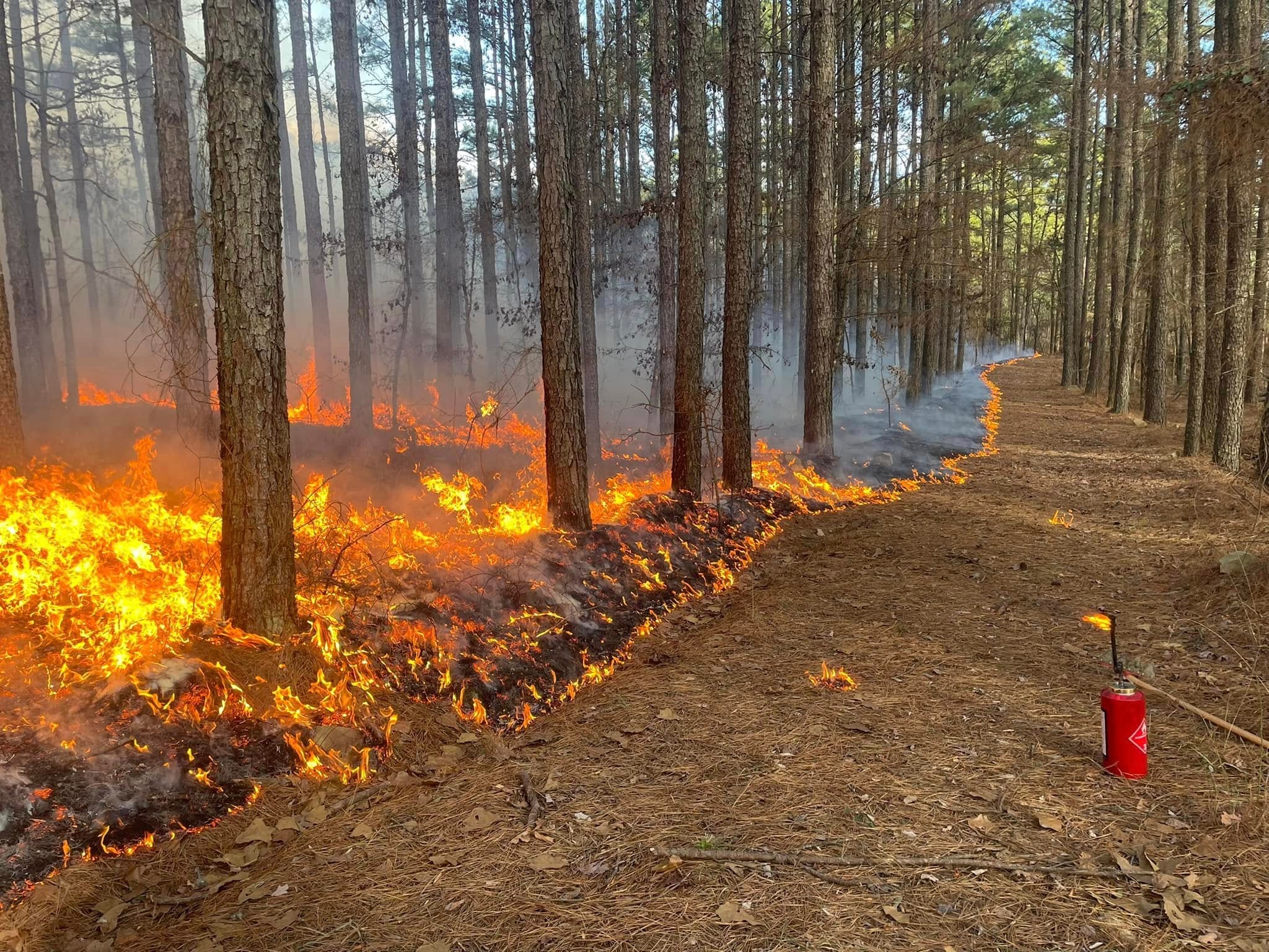 Prescribed Burning